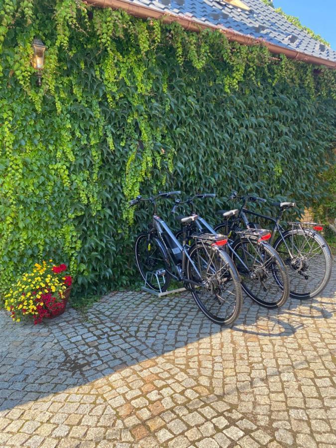 Kamien I Sowa Aparthotel Lipinki Łużyckie Bagian luar foto